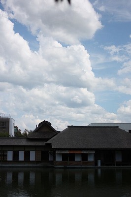 s-IMG_1205.jpg