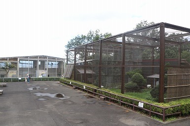 s-IMG_1255.jpg