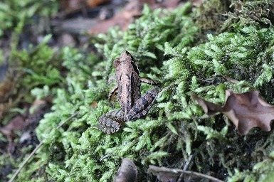 s-IMG_1272.jpg