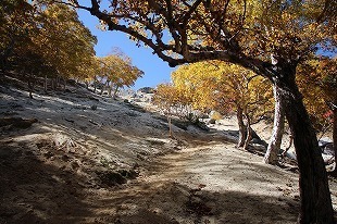 s-IMG_1352.jpg