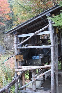 s-IMG_1500.jpg
