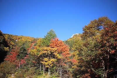 s-IMG_1502.jpg