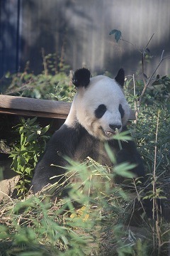 s-IMG_1547.jpg