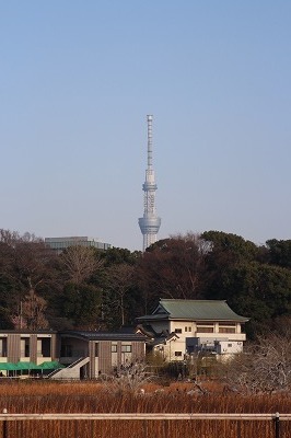 s-IMG_1581.jpg