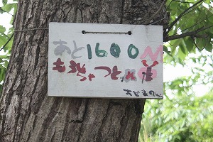 s-IMG_1600.jpg