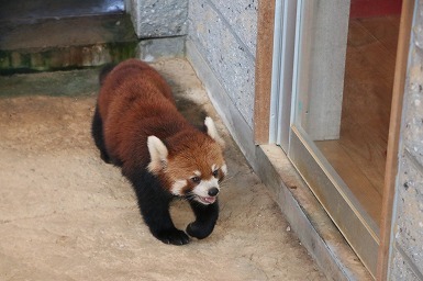 s-IMG_1713.jpg