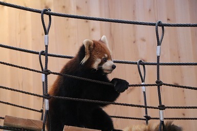 s-IMG_1718.jpg