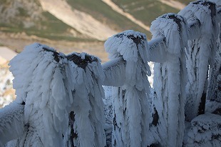 s-IMG_1873.jpg