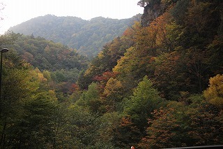 s-IMG_1956.jpg