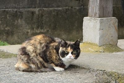 s-IMG_1965.jpg
