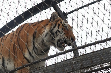 s-IMG_1980.jpg