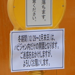 s-IMG_2061.jpg