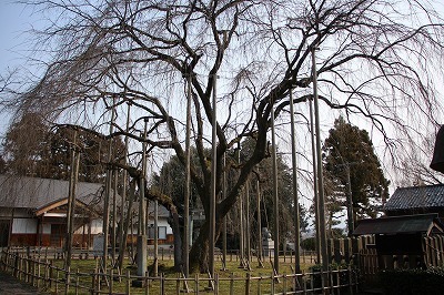 s-IMG_2309.jpg