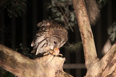 s-IMG_2472.jpg
