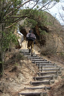 s-IMG_2555.jpg