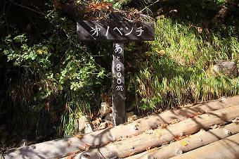 s-IMG_2572.jpg