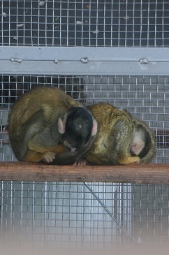 s-IMG_2585.jpg