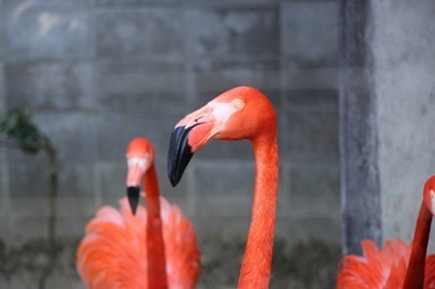 s-IMG_2591.jpg