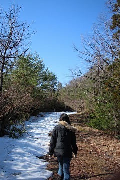 s-IMG_2598.jpg