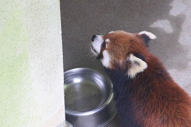 s-IMG_2690.jpg