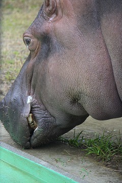 s-IMG_2724.jpg