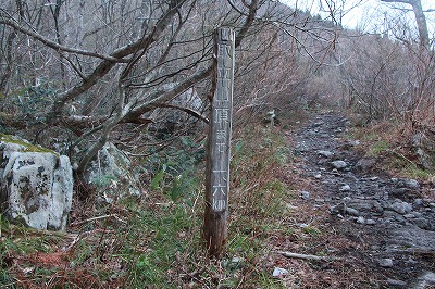 s-IMG_2724.jpg