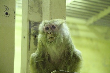 s-IMG_2769.jpg