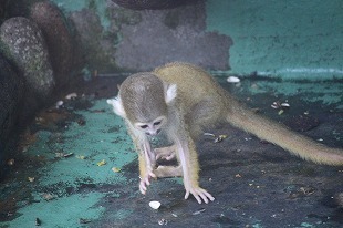 s-IMG_2808.jpg