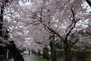 s-IMG_2871.jpg