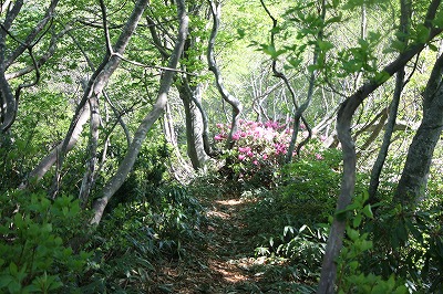 s-IMG_3029.jpg