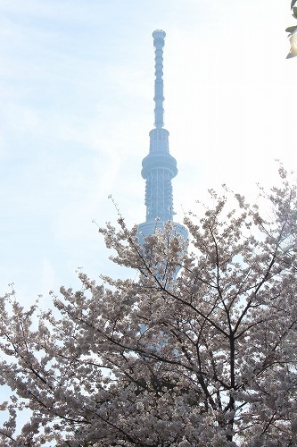 s-IMG_3064.jpg
