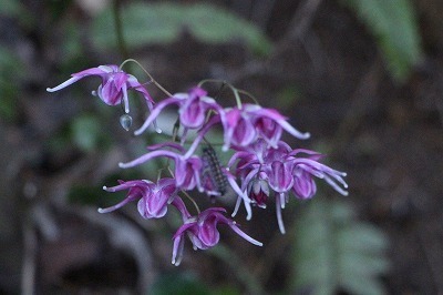 s-IMG_3140.jpg