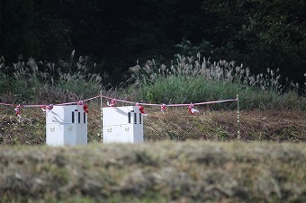 s-IMG_3155.jpg