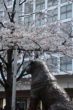 s-IMG_3167.jpg