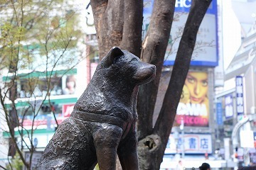 s-IMG_3168.jpg