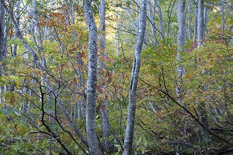 s-IMG_3308.jpg