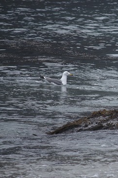 s-IMG_3345.jpg