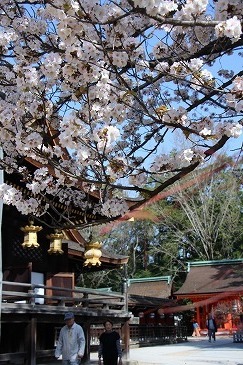 s-IMG_3362.jpg