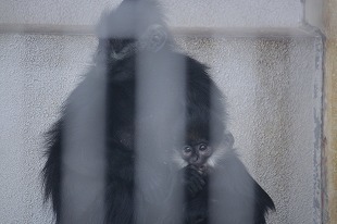 s-IMG_3432.jpg
