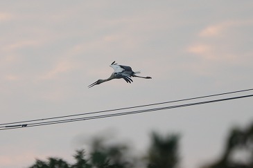 s-IMG_3563.jpg