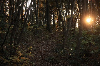 s-IMG_3617.jpg