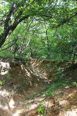 s-IMG_3619.jpg