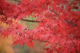 s-IMG_3625.jpg
