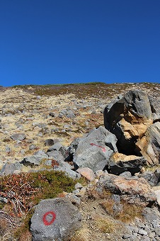 s-IMG_3654.jpg