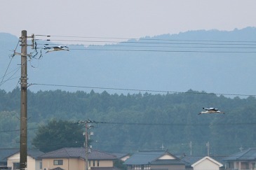 s-IMG_3744.jpg