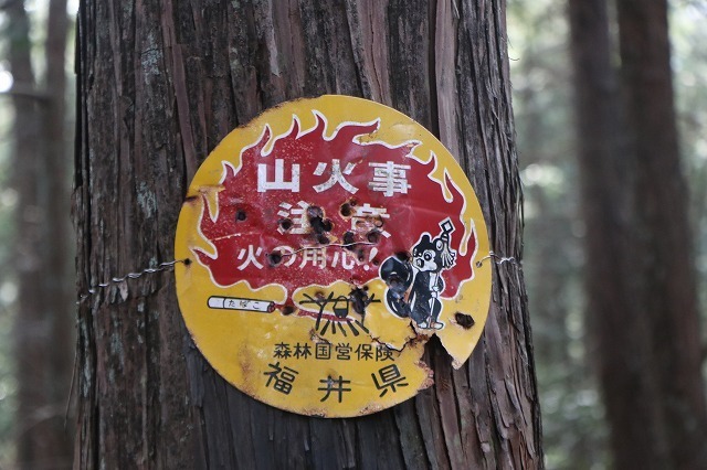 s-IMG_3792.jpg