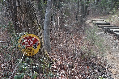 s-IMG_3799.jpg