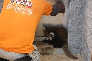 s-IMG_3859.jpg