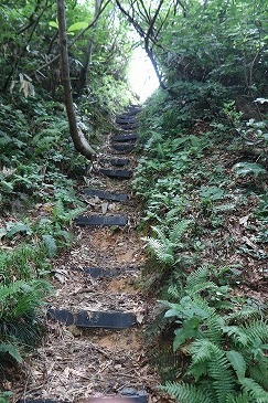 s-IMG_3870.jpg