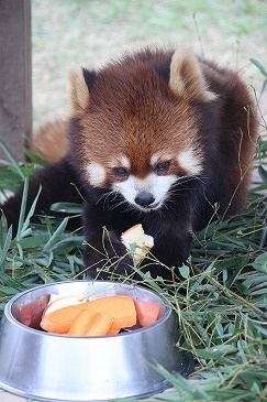 s-IMG_3874.jpg